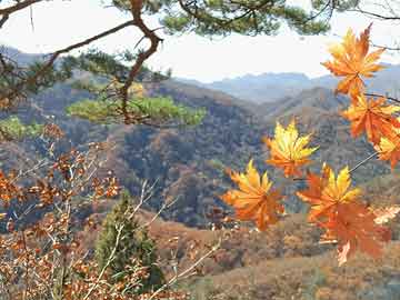 探尋河內(nèi)，古老與現(xiàn)代的完美交融，世界旅游排名必游之地