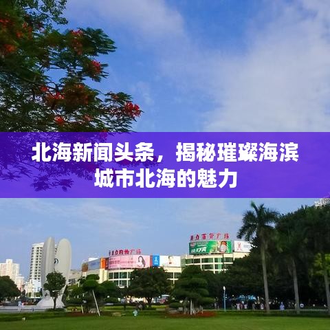 北海新聞揭秘，海濱明珠璀璨魅力