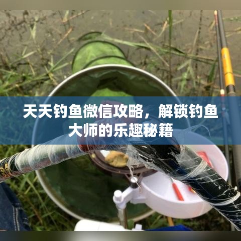 新鄉(xiāng)正鑫化工分享，天天釣魚微信攻略，釣魚大師秘籍解鎖！