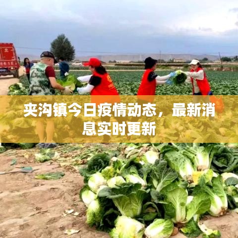 夾溝鎮(zhèn)今日疫情動態(tài)，最新消息實時更新