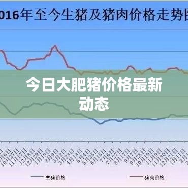 今日大肥豬價(jià)格最新動(dòng)態(tài)