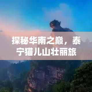 探秘華南之巔，泰寧貓兒山壯麗旅游攻略