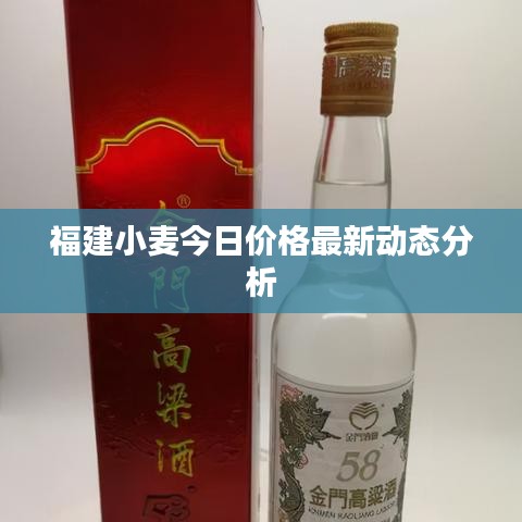 福建小麥今日價格最新動態(tài)分析