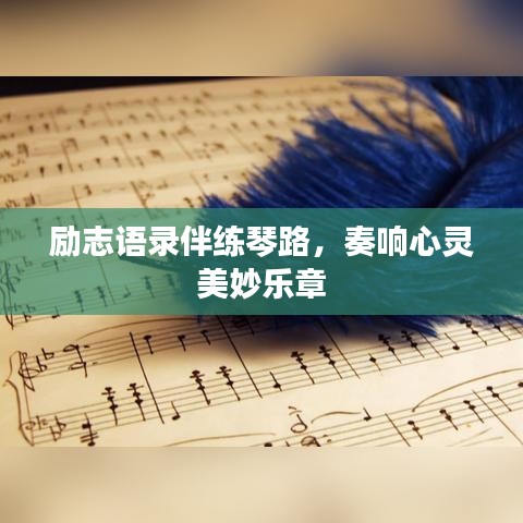 勵(lì)志語(yǔ)錄伴練琴路，奏響心靈美妙樂(lè)章