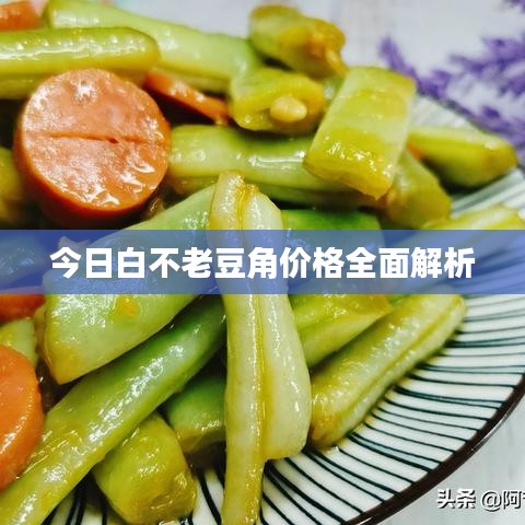 今日白不老豆角價(jià)格全面解析