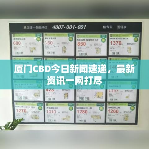 廈門CBD今日新聞速遞，最新資訊一網(wǎng)打盡