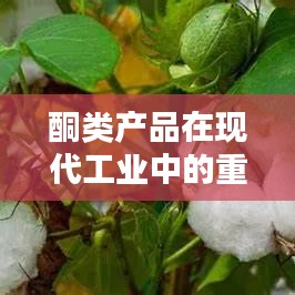 酮類產(chǎn)品于現(xiàn)代工業(yè)中的關(guān)鍵作用與地位