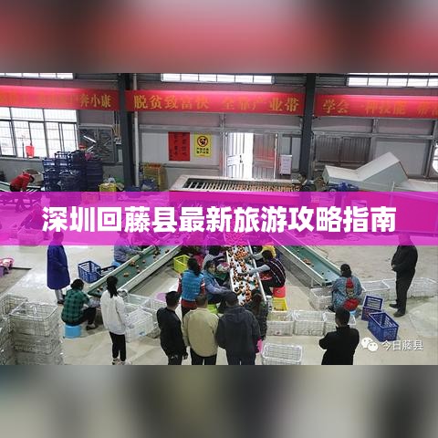 深圳回藤縣最新旅游攻略指南