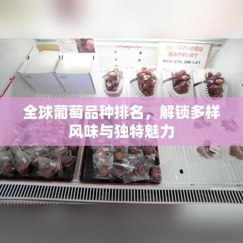 全球葡萄品種排名，解鎖多樣風(fēng)味與獨(dú)特魅力