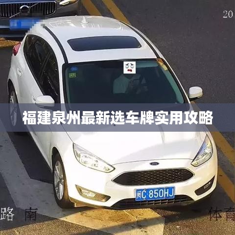 福建泉州最新選車牌實(shí)用攻略