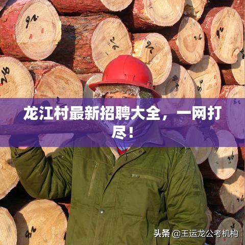 龍江村最新招聘大全，一網(wǎng)打盡！