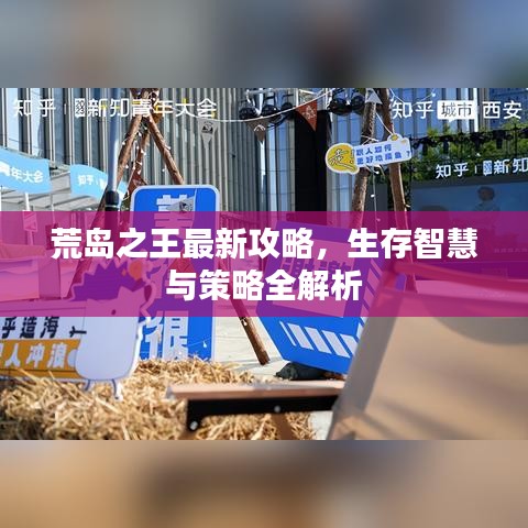 荒島之王最新攻略，生存智慧與策略全解析