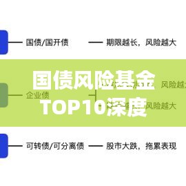 國(guó)債風(fēng)險(xiǎn)基金TOP10深度剖析