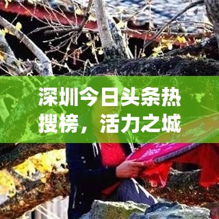 深圳今日頭條熱搜榜，活力之城多彩脈動全解析