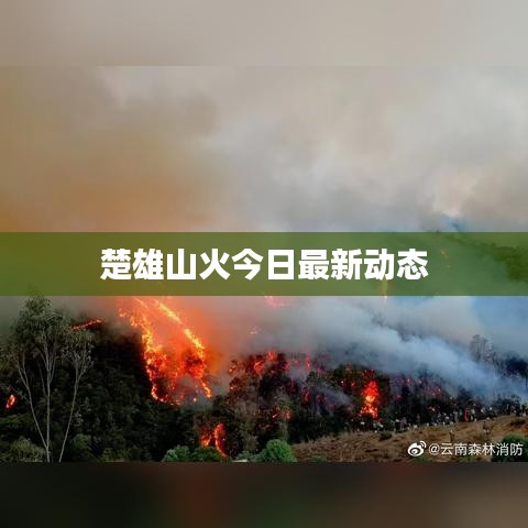 楚雄山火今日最新動態(tài)