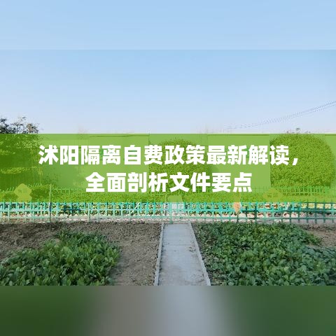 沭陽隔離自費(fèi)政策最新解讀，全面剖析文件要點(diǎn)