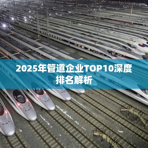 2025年管道企業(yè)TOP10深度排名解析