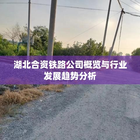 湖北合資鐵路公司概覽與行業(yè)發(fā)展趨勢分析