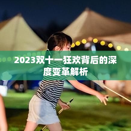 2023雙十一狂歡背后的深度變革解析