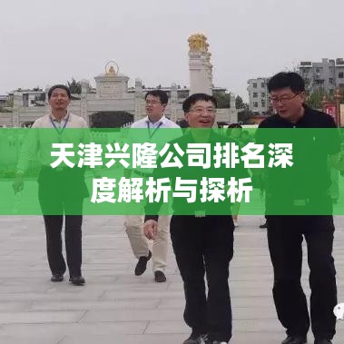 天津興隆公司排名深度解析與探析