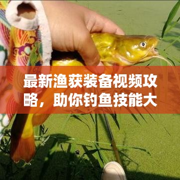 最新漁獲裝備視頻攻略，助你釣魚技能大提升！