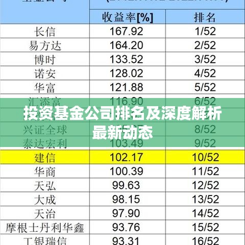 投資基金公司排名及深度解析最新動(dòng)態(tài)