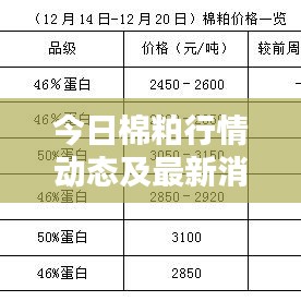 今日棉粕行情動(dòng)態(tài)及最新消息