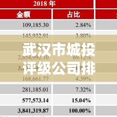 武漢市城投評(píng)級(jí)公司排名全解析