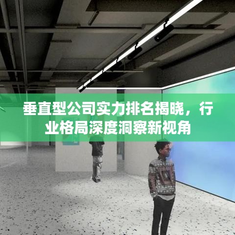 垂直型公司實力排名揭曉，行業(yè)格局深度洞察新視角