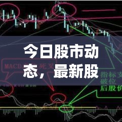 今日股市動態(tài)，最新股票信息解析、市場走勢分析與策略調(diào)整建議