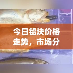 今日鉛塊價(jià)格走勢，市場分析深度剖析，未來展望吸引眼球！