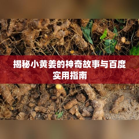 揭秘小黃姜的神奇故事與百度實(shí)用指南