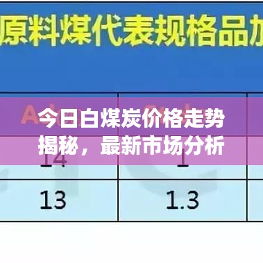 今日白煤炭價格走勢揭秘，最新市場分析預(yù)測報告出爐！