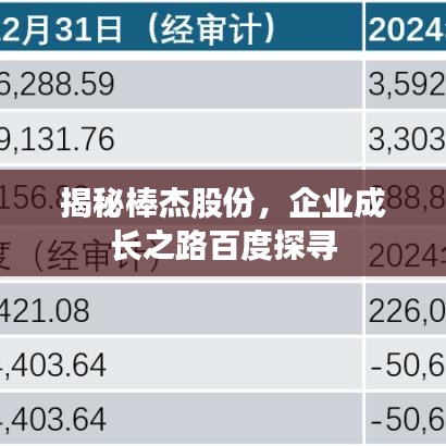 揭秘棒杰股份，企業(yè)成長之路百度探尋