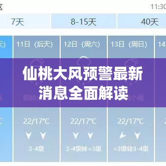 仙桃大風(fēng)預(yù)警最新消息全面解讀