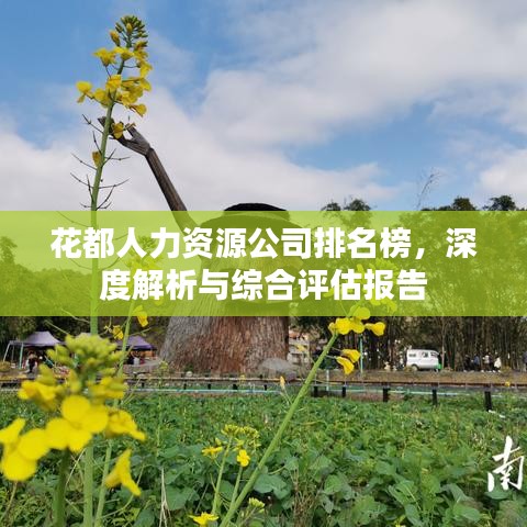 花都人力資源公司排名榜，深度解析與綜合評估報告