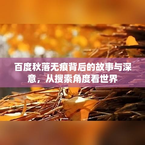 百度秋落無痕背后的故事與深意，從搜索角度看世界