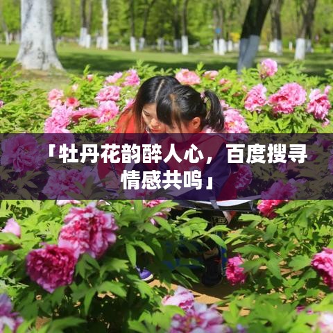 「牡丹花韻醉人心，百度搜尋情感共鳴」