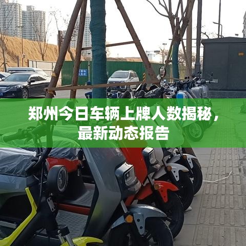 鄭州今日車輛上牌人數(shù)揭秘，最新動態(tài)報告