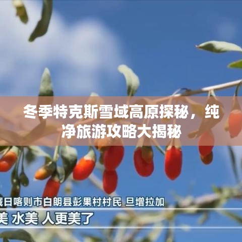 冬季特克斯雪域高原探秘，純凈旅游攻略大揭秘