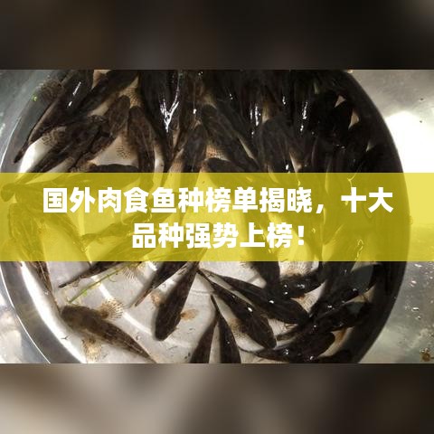 國(guó)外肉食魚種榜單揭曉，十大品種強(qiáng)勢(shì)上榜！