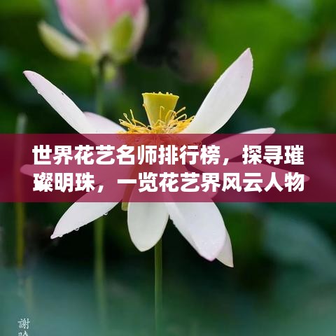 世界花藝名師排行榜，探尋璀璨明珠，一覽花藝界風(fēng)云人物