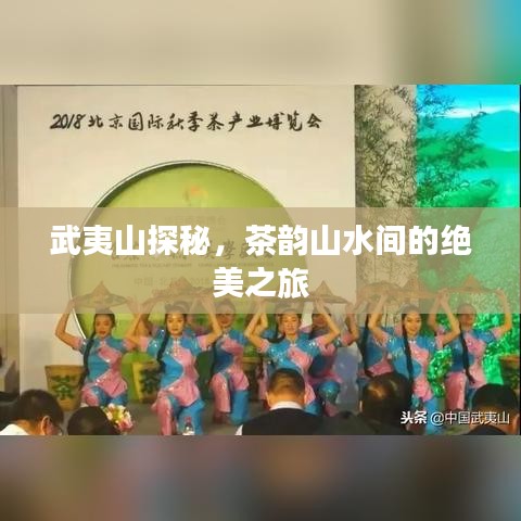 武夷山探秘，茶韻山水間的絕美之旅