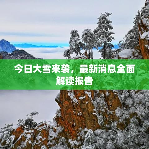 今日大雪來襲，最新消息全面解讀報告