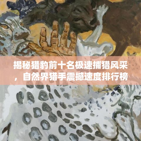 揭秘獵豹前十名極速捕獵風(fēng)采，自然界獵手震撼速度排行榜！