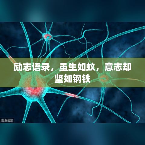 勵志語錄，雖生如蟻，意志卻堅(jiān)如鋼鐵