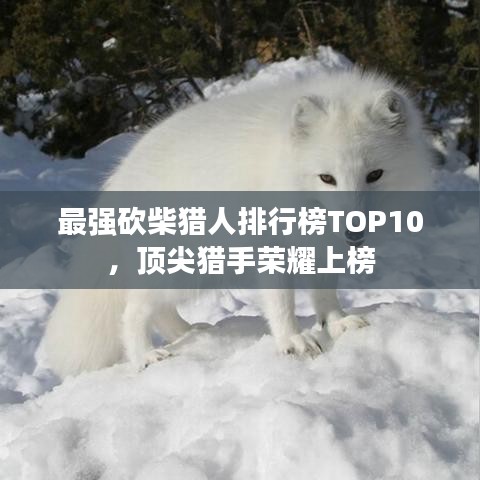 最強(qiáng)砍柴獵人排行榜TOP10，頂尖獵手榮耀上榜