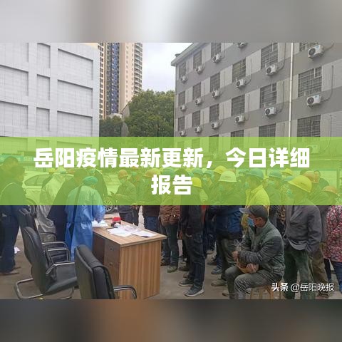 岳陽疫情最新更新，今日詳細(xì)報告