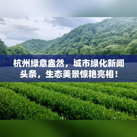 杭州綠意盎然，城市綠化新聞頭條，生態(tài)美景驚艷亮相！