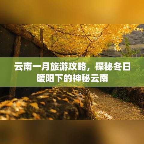 云南一月旅游攻略，探秘冬日暖陽(yáng)下的神秘云南